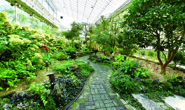 꽃들의 집 온실 속 야생화