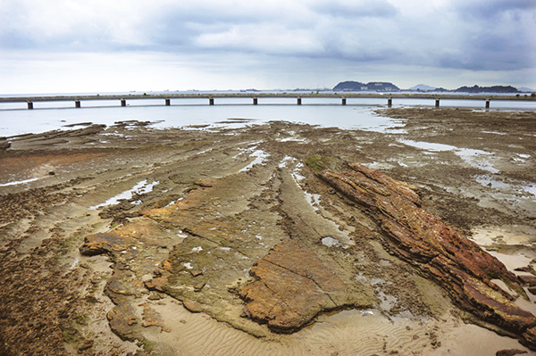 Cinta Costera(해양외곽도로)가  보인다