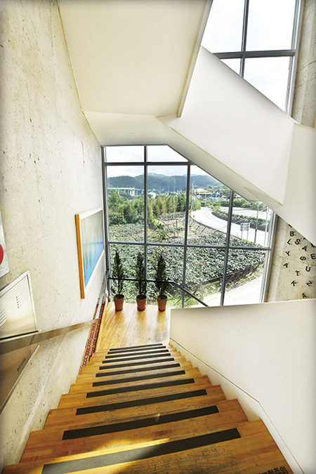 2층에서 내려다보이는 키위과수밭