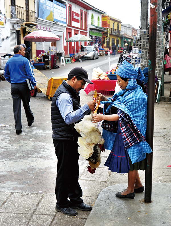 닭을 파는 여인, 거래가 성사 된 듯 하다