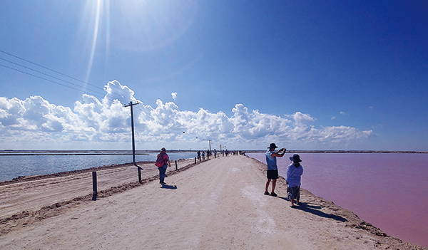 분홍빛 호수와 푸른빛 호수 사잇길
