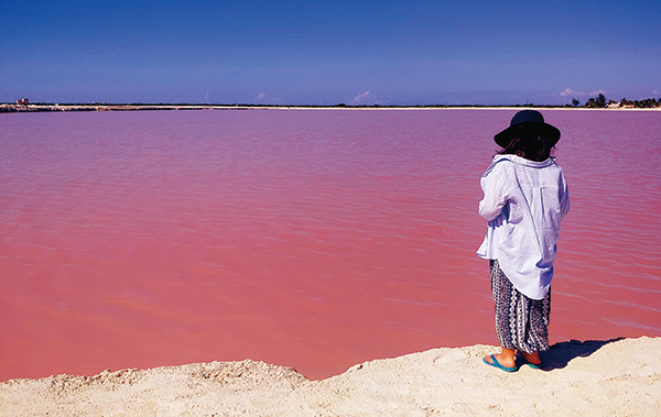 호수에 들어가는 것은 금지돼 있다. 물에 들어가고 싶어 쳐다만 보고 있는 아이