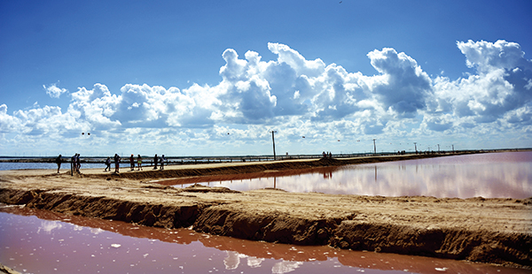 그늘 한 점 없는 핑크라군. 사진 속에서도 열기가 느껴진다
