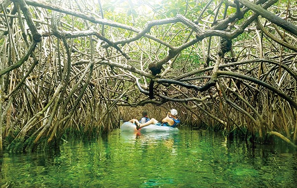 나무가 만든 터널을 지나고 있다. 자연 유수풀이다