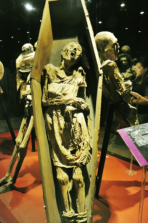 미라의 표정은 어떤 이야기를 하고 싶은 걸까