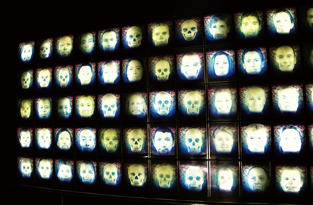 인류의 진화과정이 그려진다