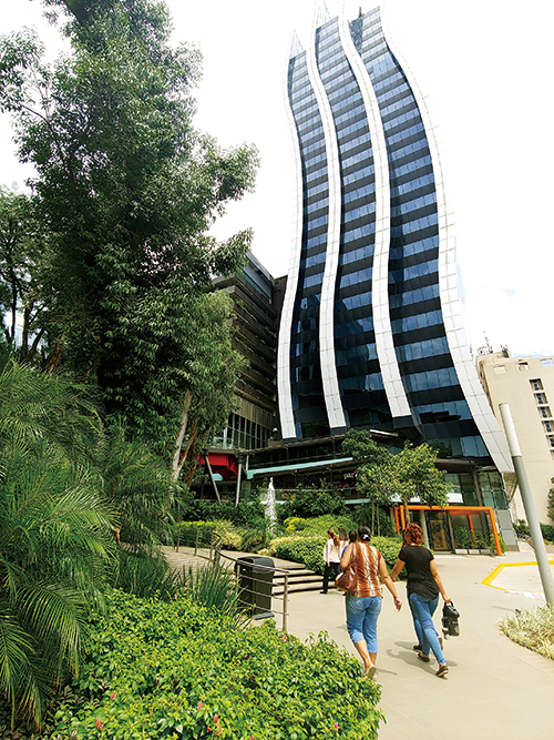 아순시온은 숲속의 도시 같다