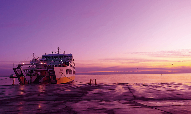 펭귄을 보러 떠나는 새벽길, 새벽의 색은 참 오묘하다