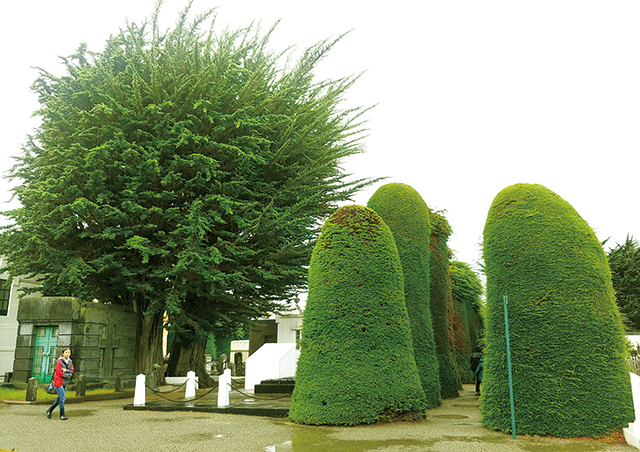 묘지인지 공원인지, 수목원에 온 느낌이다