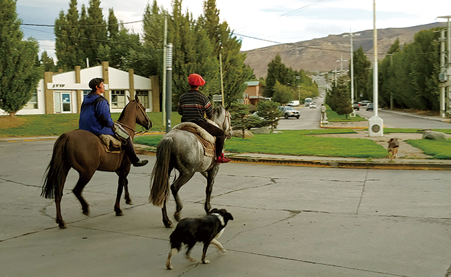 이 시대에도 말을 타고 다니는 사람들이 있다니, 신기하다. 말은 많이 비쌀까. 차보다 말을 타고 다니고 싶다