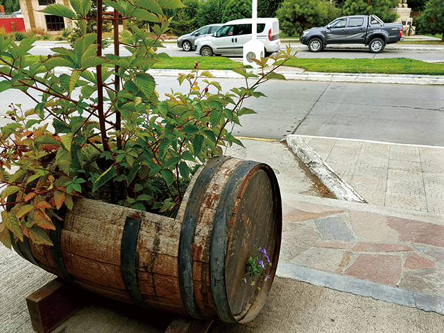 오크통의 빈 틈을 뚫고 피어난 꽃을 보라!