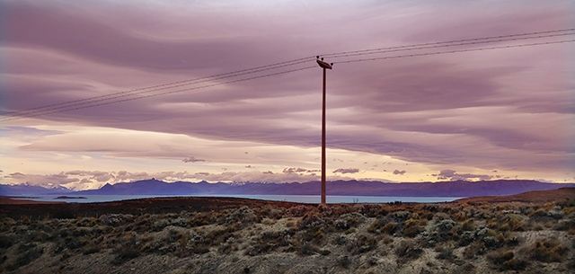 저 멀리 보이는 물은 빙하가 녹아서 흐르는 물일까. 물 색이 뽕따 아이스크림색이다