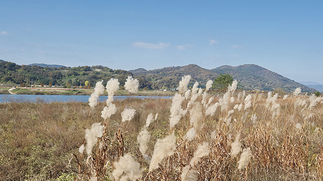 전망대에서 본 낙동강과 남강의 합류 지점