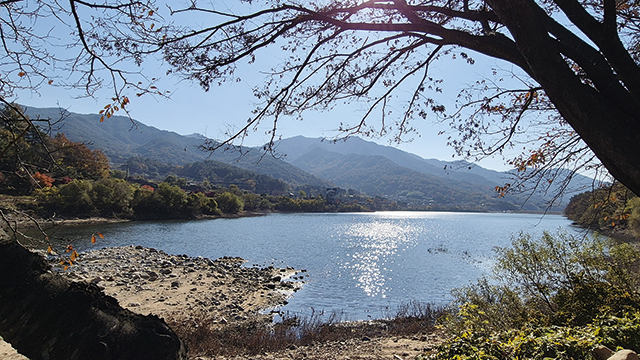 윤슬이 아름다운 옥천저수지