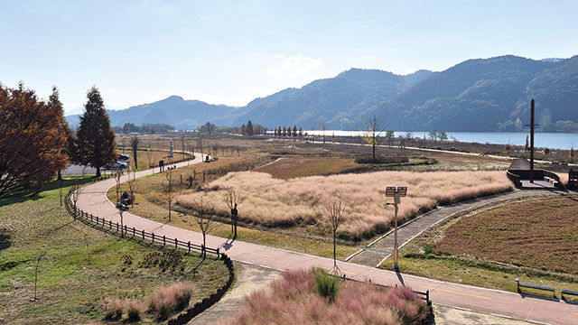 창녕 남지수변억새전망대에서 바라본 풍경. 드넓은 벌판에서 하늘거리는 억새와 다채로운 풀숲, 낙동강 푸른 물길이 마치 한 폭의 그림 같다