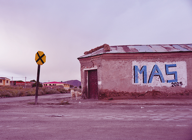 MAS, 더 많이, 더많이