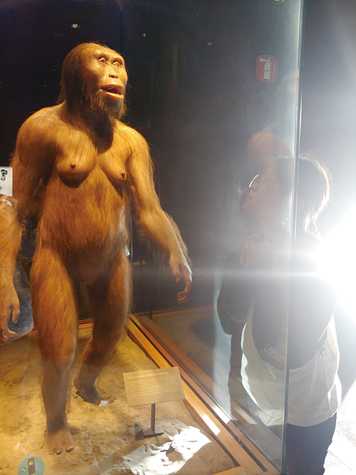 최초의 인류, 여성 루시의 모형이다. 욕망의 시작이다