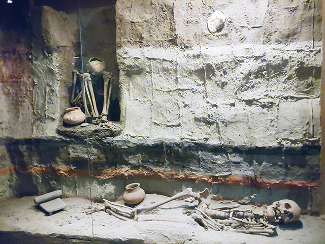 자연의 시간은 직선, 인간의 시간은 선분이다