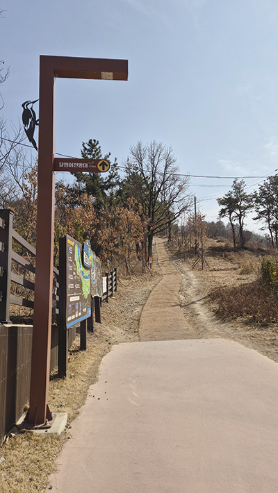 용두산 허리 따라 이어지는 지그재그 잔도